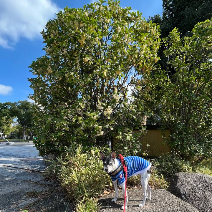 6207315e c3bd 4846 9d5a be5b2360196b 1635929839567