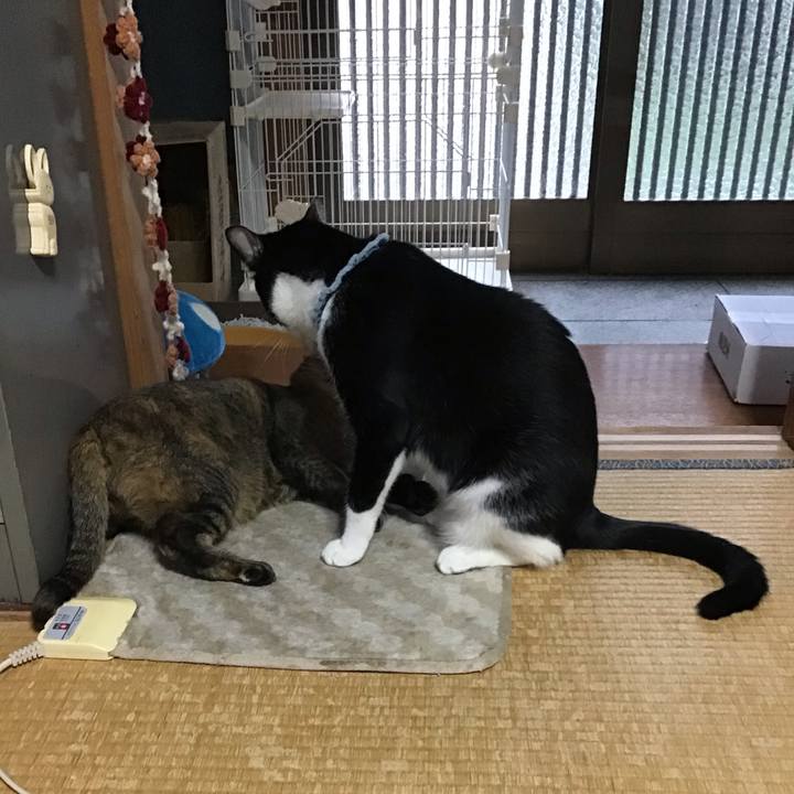 62073cb4 5dc1 4231 bcd9 f1e934e5219f 1665020792830