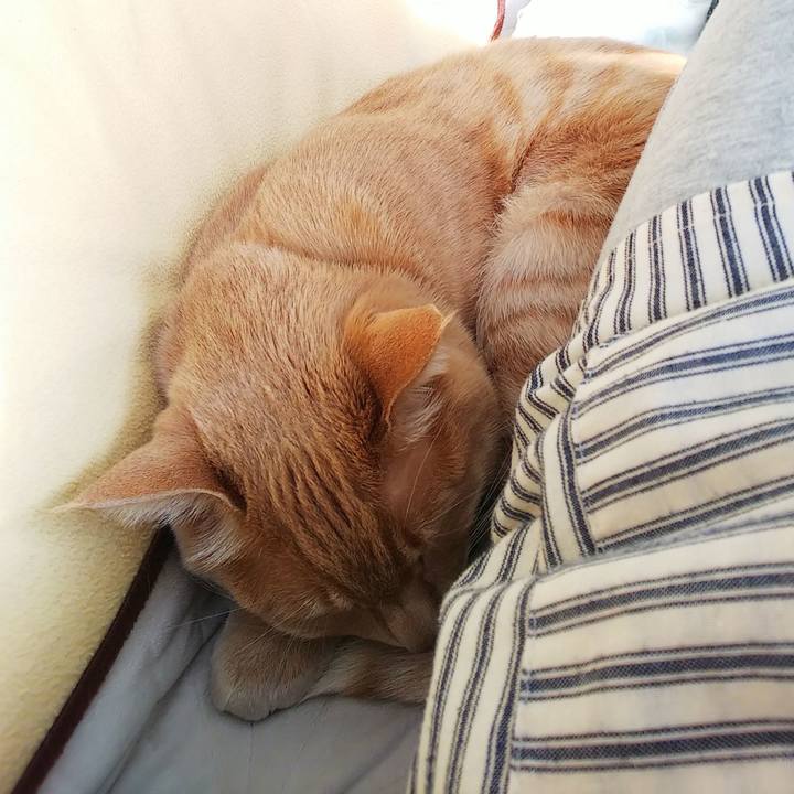 6207444d e7eb 4db1 bcb9 666d97749045 1613863086066