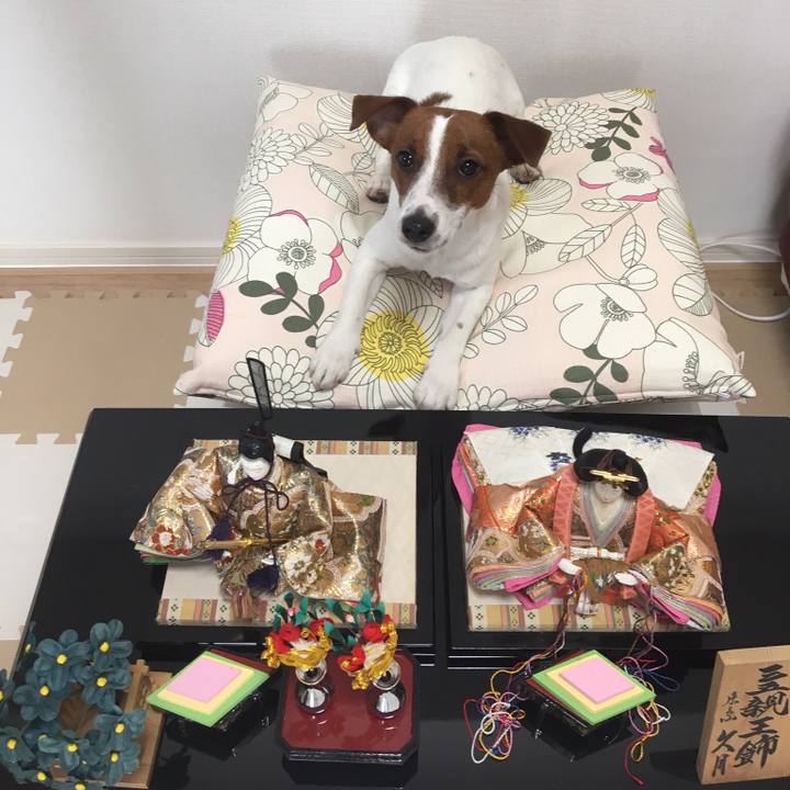 62075915 d884 4a3b 9a51 2d864e39be39 1520069444581