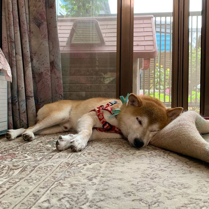 62078493 feb4 4c42 afbb e2f6885de7cf 1628506049719