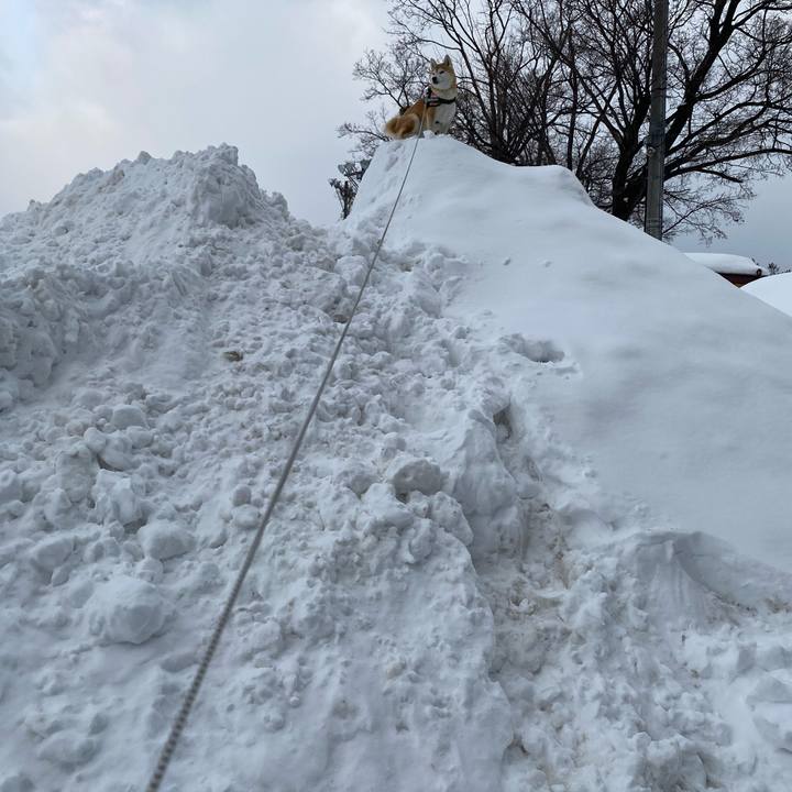 6207974b 1cd3 4afc 92a8 f23530a3cdca 1611190749483