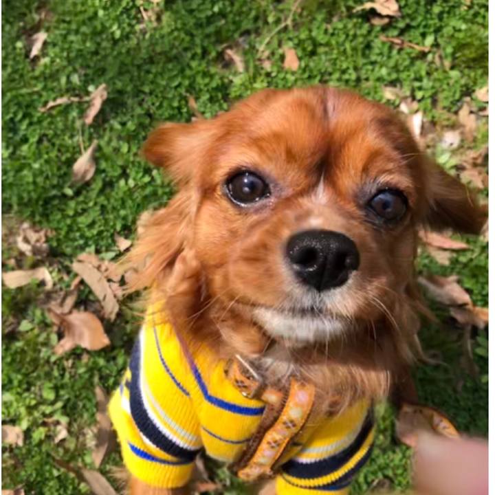 6207a0a0 8db2 4e9e a3ad 70f858bae766 1554004153023