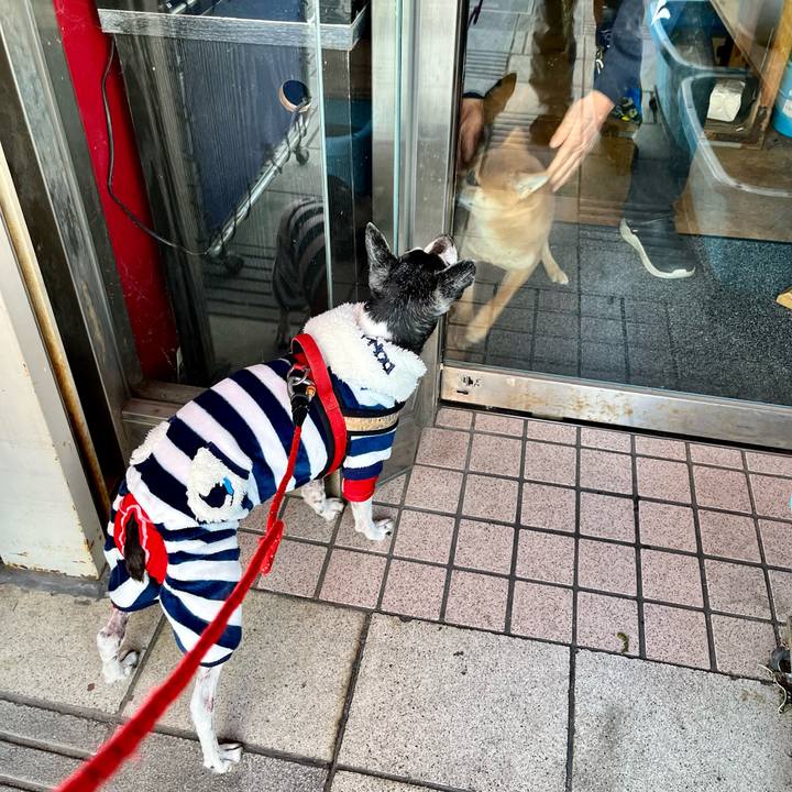 6207ae0b 0ae0 4f96 af17 f4e3d3c0c41f 1645575085084