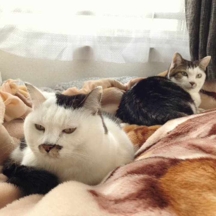 6207edc2 1fe9 4f76 9791 cb742823d597 1579249359298