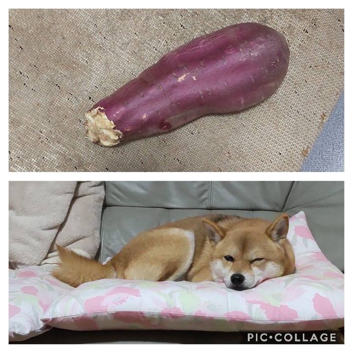 6207f49b 881c 4c90 93dd 58854e7ae12e 1667474013021