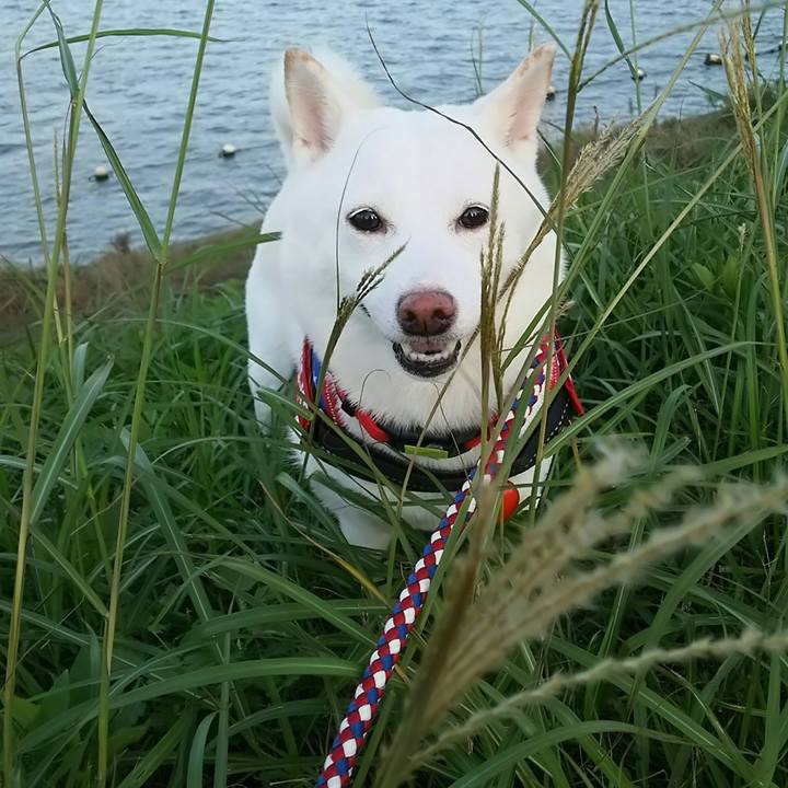 62080cab ad9b 4c49 97d1 fbaa00b8225f 1569404096482