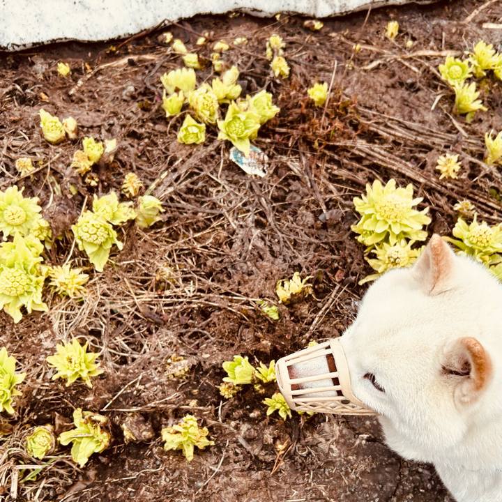 620820c1 2527 437b 9be3 c7141469fea6 1743977623010