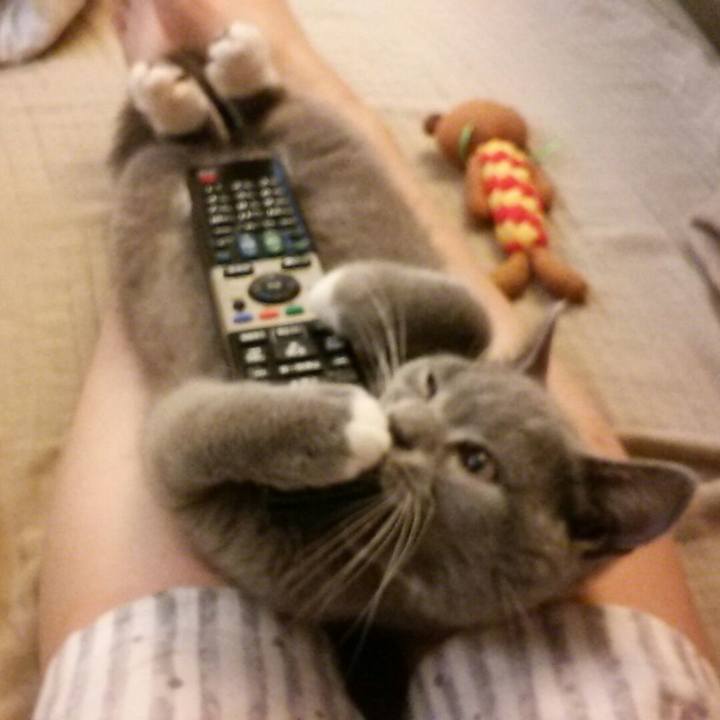 620827d0 e8fa 4f26 8cc0 89656d061ad8 1534804857287