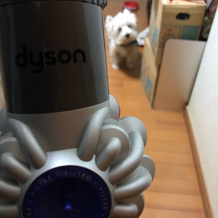 62084ad8 5e04 4edb beec 1d464894d8cc 1541753334100