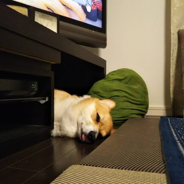 62084d87 cd42 4862 8fad 900dda92f29f 1593310688499