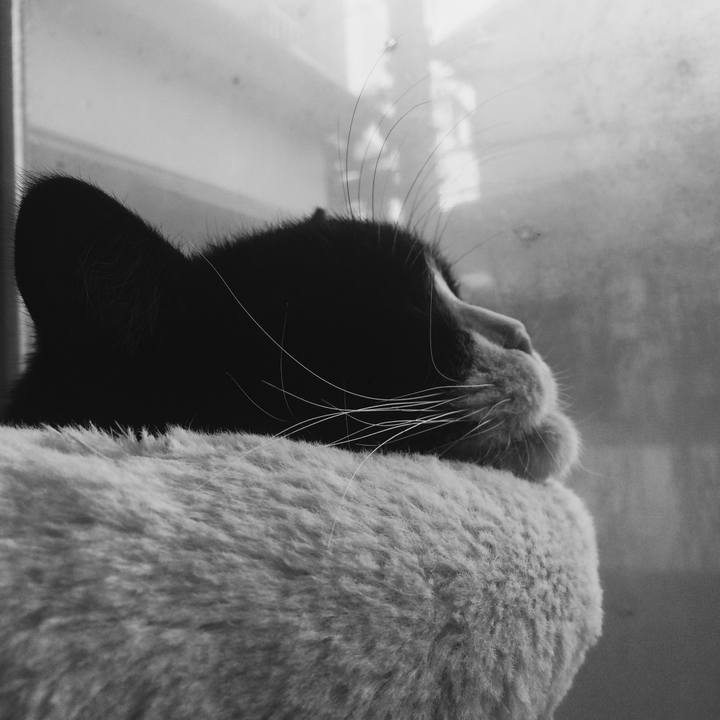 620871fd 8b7e 45b2 b1a9 d25450262e15 1578694562851