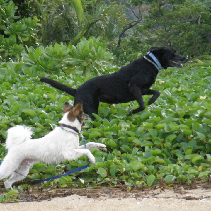 62087556 f766 420d 81a5 2aa08e46b510 1524972396113