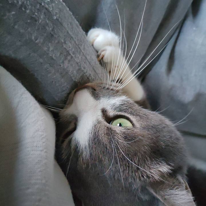 62088743 d789 4213 8c7c a73e77d1cd81 1674100422546