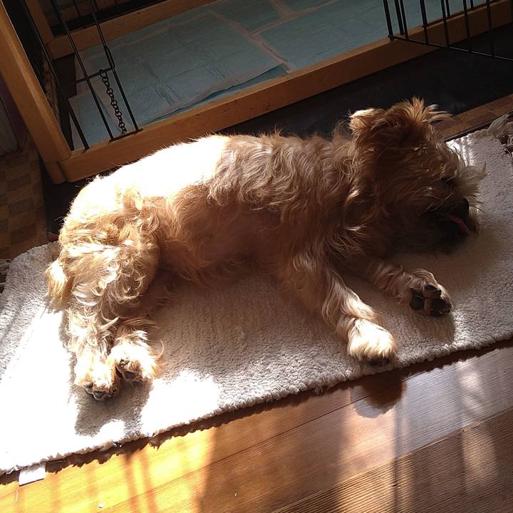 62091632 c1c2 4761 bac6 2b6ac5055e5b 1604558134112