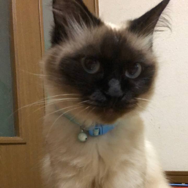 62091757 833a 4169 bba5 471cf29c19fe 1599142796335