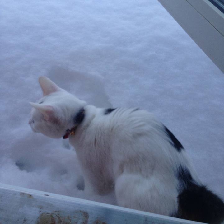 62091baf 633c 4ca6 ae6c 0cd94d7c7f05 1517089450055