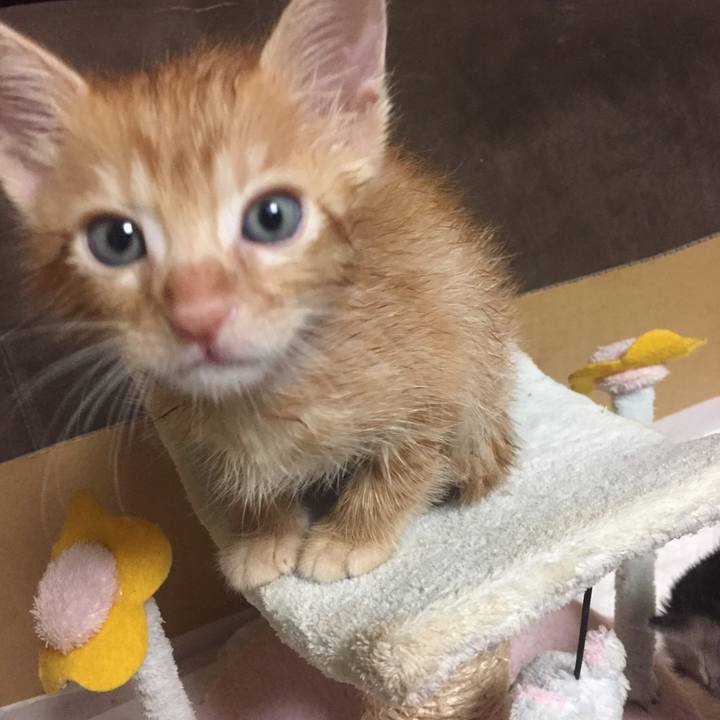 62091c4a 90ab 439b 9f92 6dfb660fde29 1533911104576