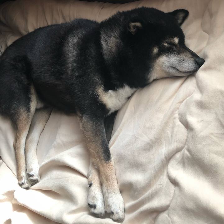 62092016 c792 4b1f a446 a4c4ae7d490d 1611810500343