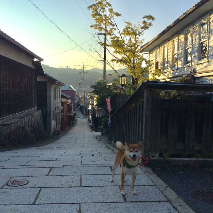 62095524 7303 4f57 a299 5956ad0b66a2 1507719556003