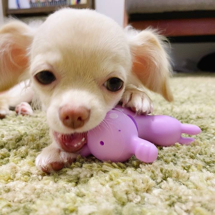 620985b5 1a8e 4494 8056 6d1b4a506bf8 1593502211544