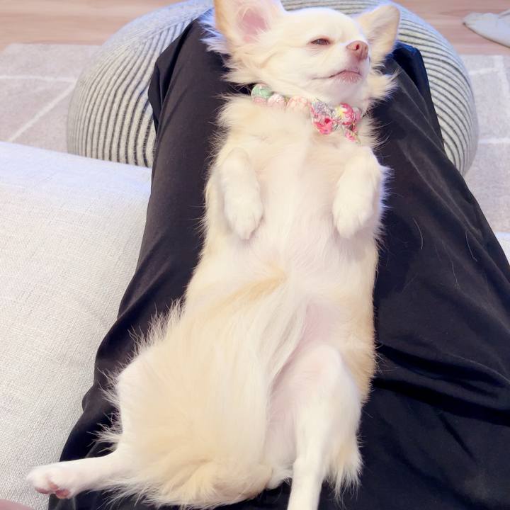 6209afc6 6b61 4b27 9bdc 25ca252bd1ad 1692786750075