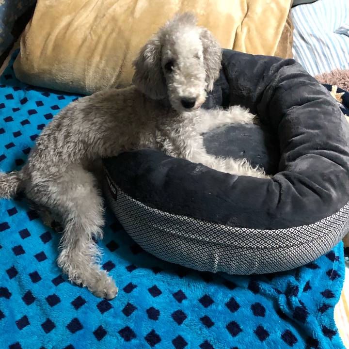 6209bafa 8ade 4705 bcf2 36e3417a7627 1583571222431