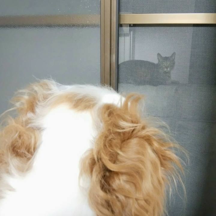 6209e016 5601 4bbd b720 a401af1d25e5 1558265301383