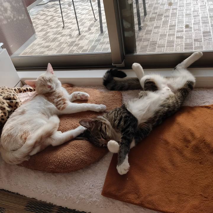 620a03b5 b356 4630 9215 925310d31997 1635745544052