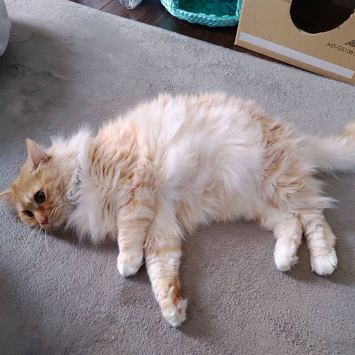 620a7098 0bff 4a54 b412 eb771aae7633 1707532222097