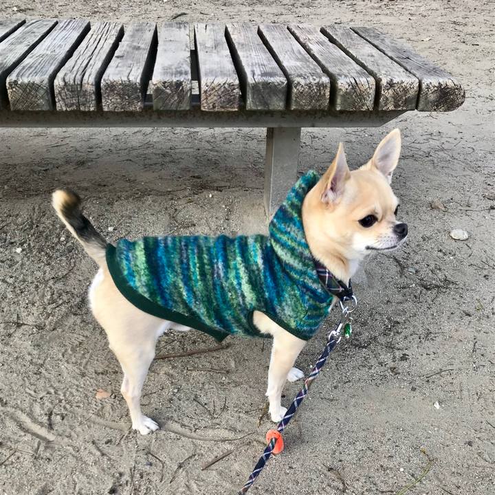 620ad105 659c 470d a40a 58c217937928 1546739718407