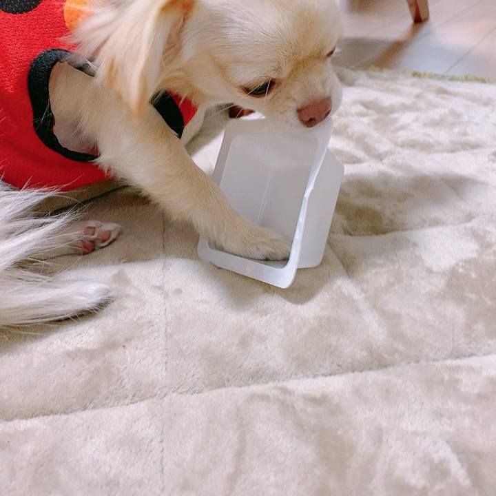 620aeb6b 8eaa 43fa a89b 7e82f5ab537f 1610016215239