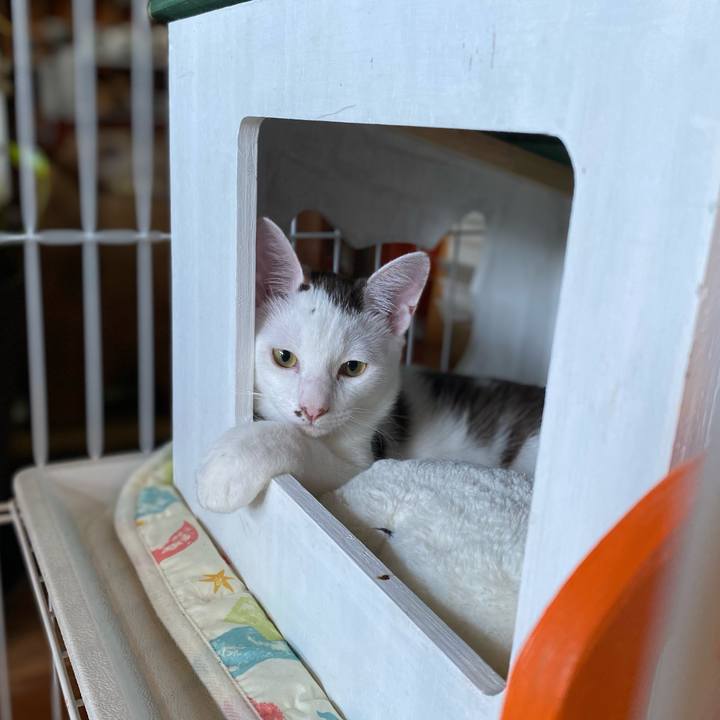 620aecea 3d9e 4872 9be4 be4948371a30 1693817094841