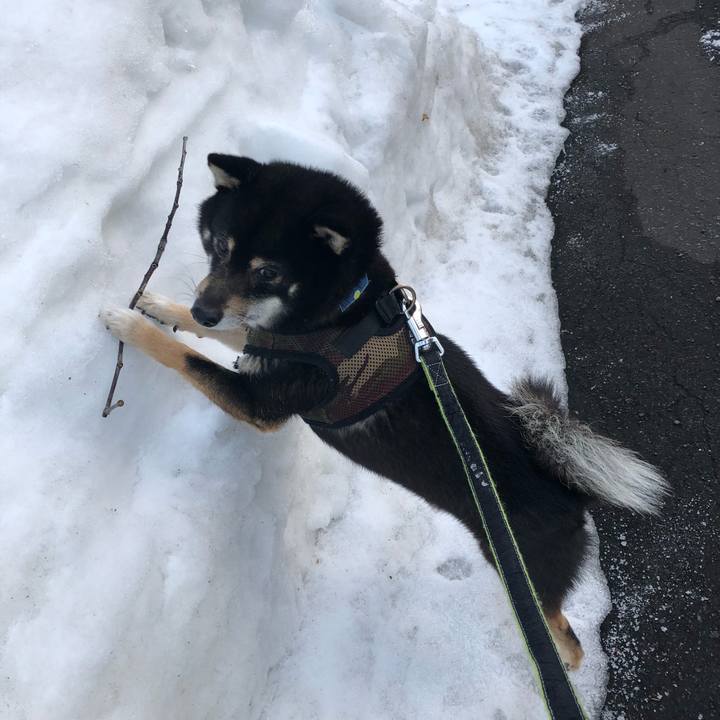 620af942 5bfe 4d58 8c43 375801486794 1520672135341