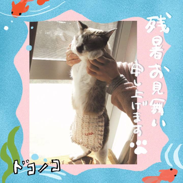 620b0851 8fdd 4e22 a809 b89fad5c4114 1723517069150