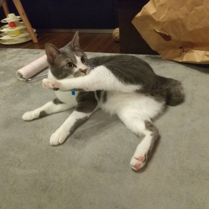 620b370e 5eba 4373 956d 07666499ab0a 1615378000992