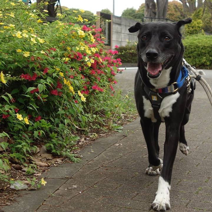 620b6e0c 6d06 4655 8f37 8339c4400306 1650244798526