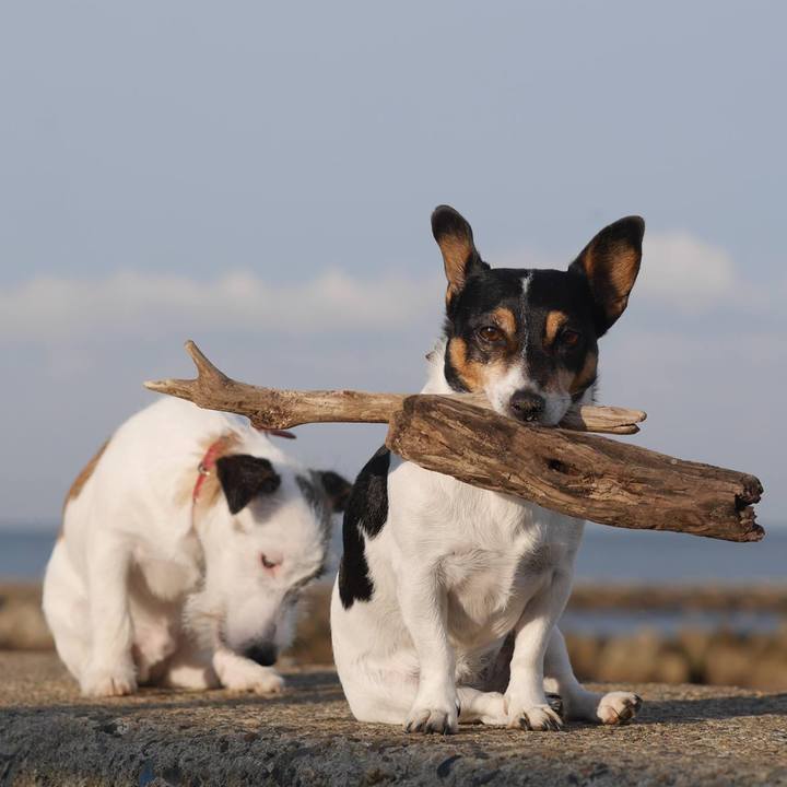 620b8005 c270 43a2 9f1b 26f6f63601d5 1635663976707