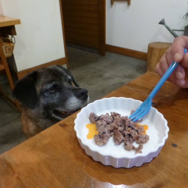 620b9431 a5e5 4243 8ca4 e79b359b3974 1580346790464