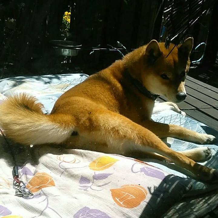 620bd76a 6748 4851 950a 125712fdfed8 1557322518722