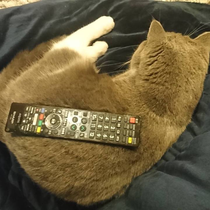 620bda80 c5bf 4fa9 ae1a 753d5a0c5c88 1552092252838