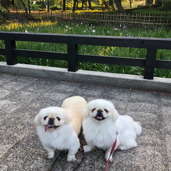 620bde9b c0d7 4f92 a19d fed526110c0c 1592690227992