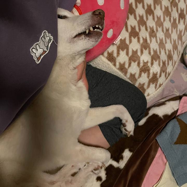 620be26c f830 4953 87b9 fce74025586b 1677013668932