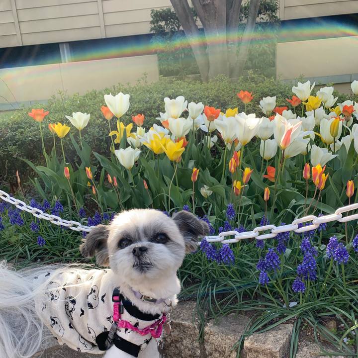 620c18b7 2813 4fab bb0a f0e0a6d7f638 1554453717683