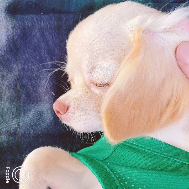 620c22ee 4a11 49d7 b5c6 d3ad26601eda 1599035325198