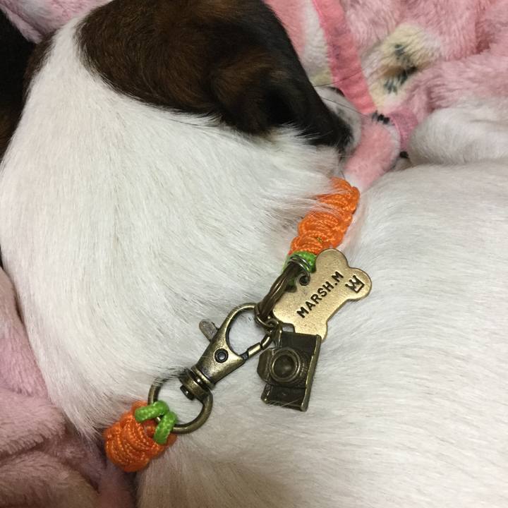 620c47e0 1595 4cc2 80d9 73ed2459a84c 1550239261078