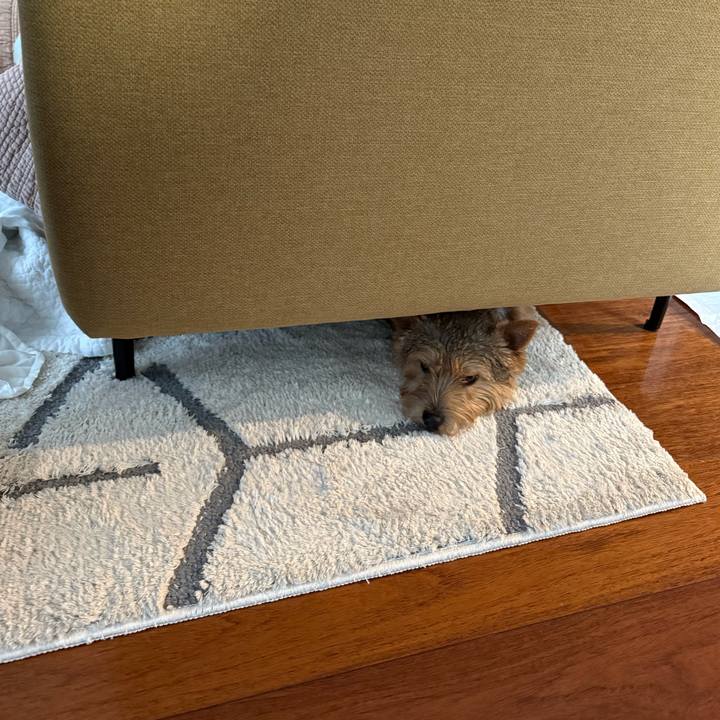 620c6883 9979 4c41 9d1e f8d197408abd 1763501662633