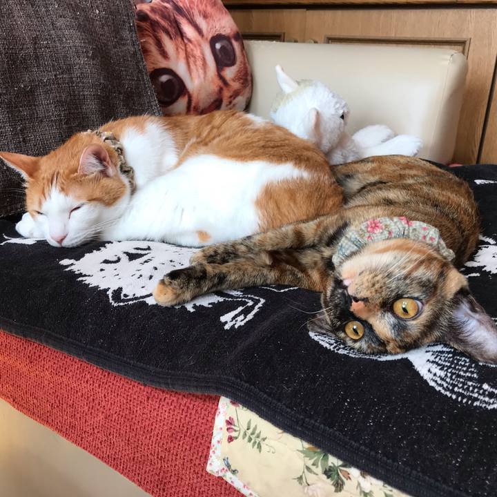 620c7a8e 97ae 467a 8bc7 327bda375330 1618534447412