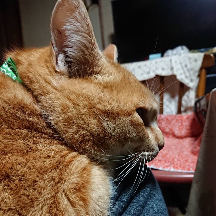 620cac3e fd97 4d27 89c6 832ece3ede52 1580331942838