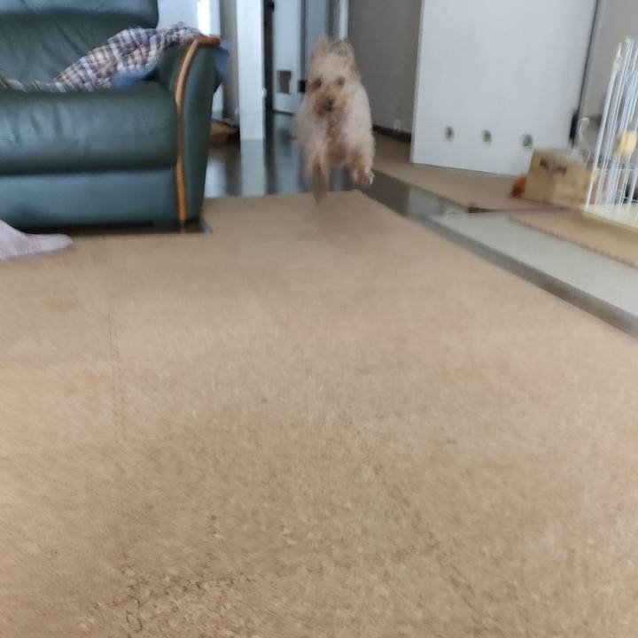 620d1824 42d4 46df 956a 1745ee9d8f4d 1582415158393